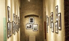 «За 12 місяців я отримав дев'ять тисяч фотографій»