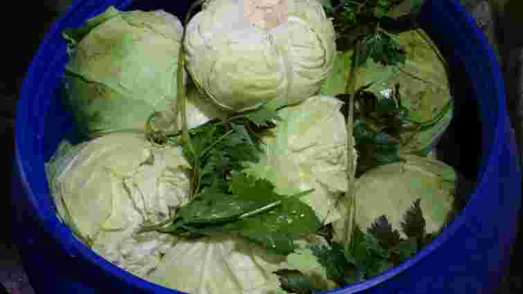 Крижавка або квашена капуста цілими головками. Рецепт дня