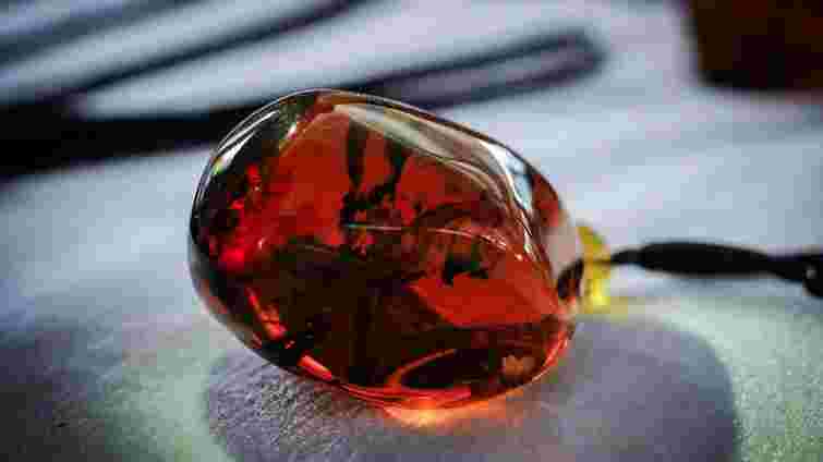 Сімейну фірму експолітика Миколи Рудьковського оштрафували за змову на Рівненщині