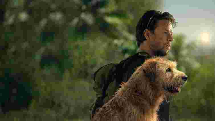 Це справді було: найкращі фільми останніх років, зняті на реальних подіях