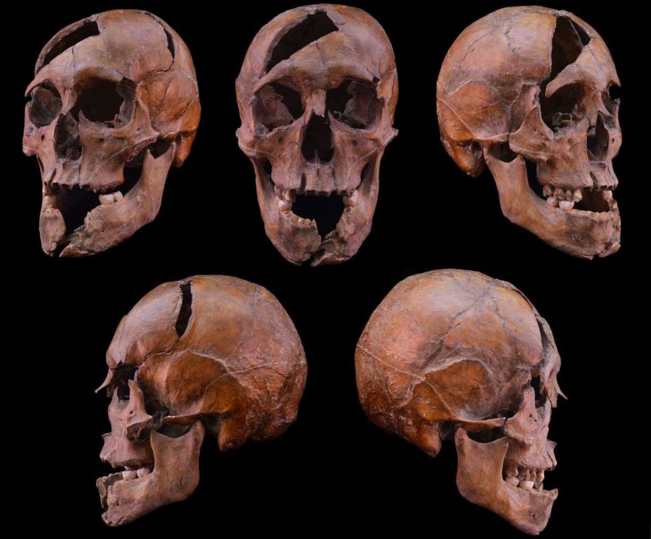 Дослідження вказує, що череп князя був проломаний з різних сторін