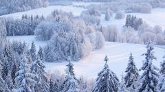 Аномальні морози, які ми не забудемо: чи справді Україну очікує арктична зима