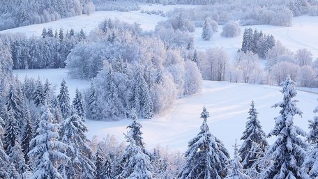 Аномальні морози, які ми не забудемо: чи справді Україну очікує арктична зима