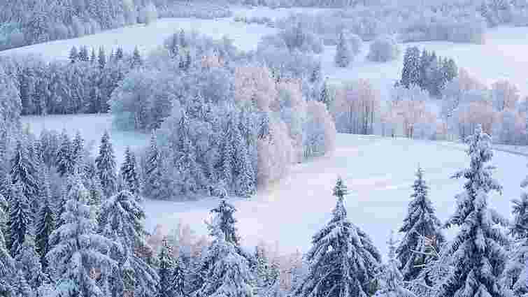 Аномальні морози, які ми не забудемо: чи справді Україну очікує арктична зима