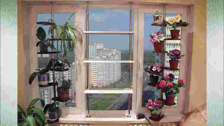 Створіть власний зимовий сад: трендові кімнатні рослини, які пишно ростуть у холодну пору