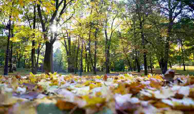До +18°C: синоптики прогнозують на Львівщині суттєве потепління