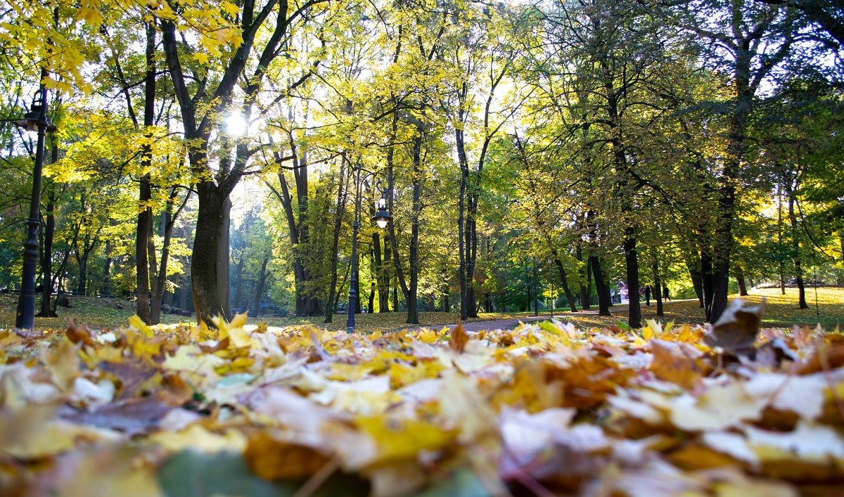 До +18°C: синоптики прогнозують на Львівщині суттєве потепління