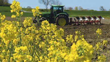 «Земельний банк» продав понад 800 га ріллі біля Львова