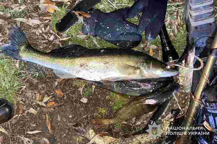 На Тернопільському ставі затримали чоловіків за підводне полювання на риб 
