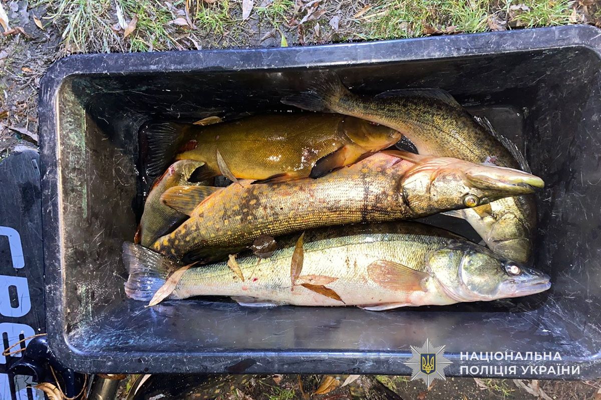 Чоловіки на гарпун зловили 10 рибин