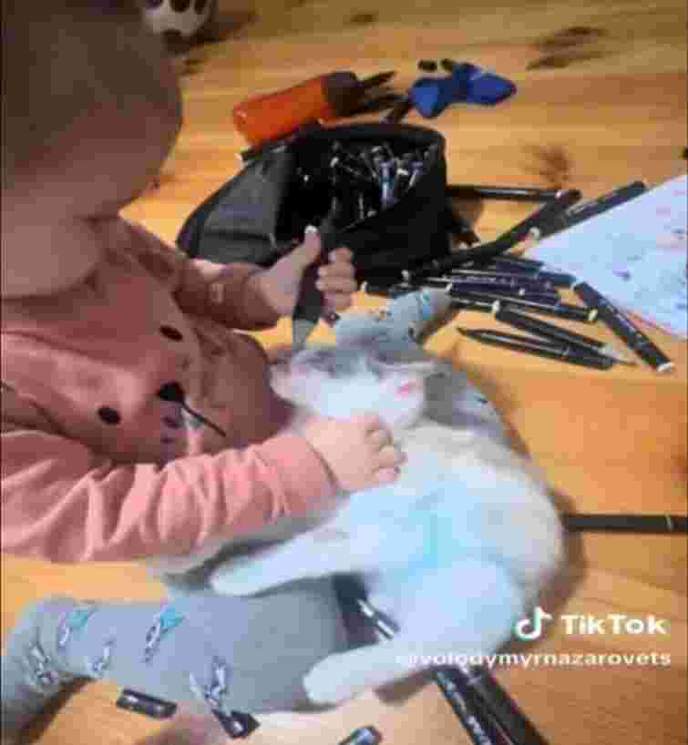 Поліція Львівщини склала два адмінпротоколи на батька, діти якого знущалися з кота