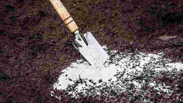 Навесні город вам лише подякує: коли потрібно вапнувати ґрунт восени