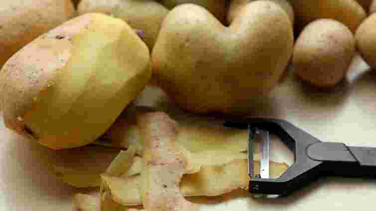 Відмінне добриво зі сміття: які рослини в саду і на городі можна підживити картоплинням