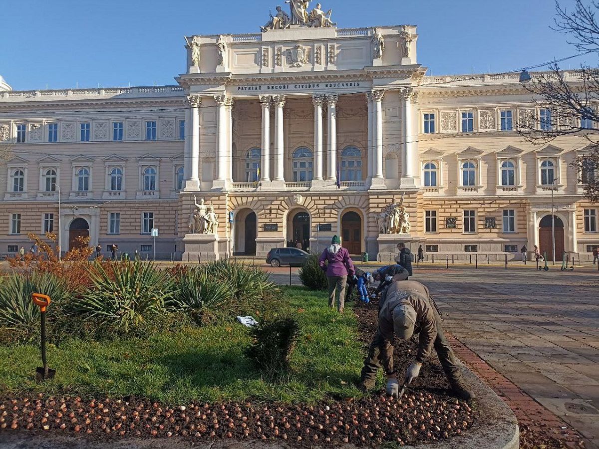 У Львові висадять 155 тис. тюльпанів, подарованих Нідерландами
