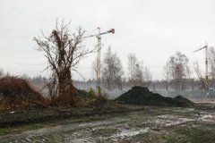 «Нова історія Левандівки», але в Зимній Воді