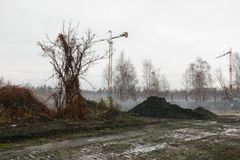 «Нова історія Левандівки», але в Зимній Воді