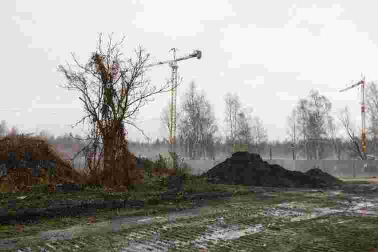 «Нова історія Левандівки», але в Зимній Воді