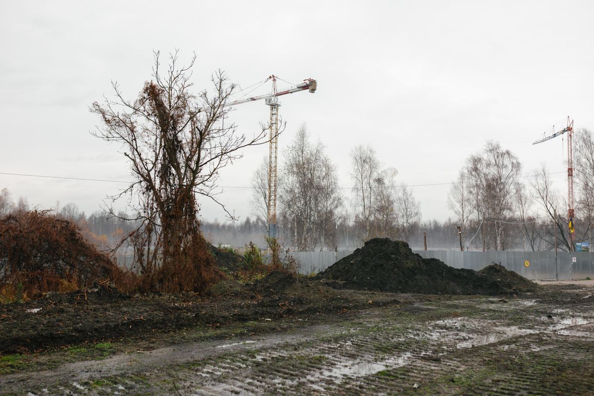 «Нова історія Левандівки», але в Зимній Воді