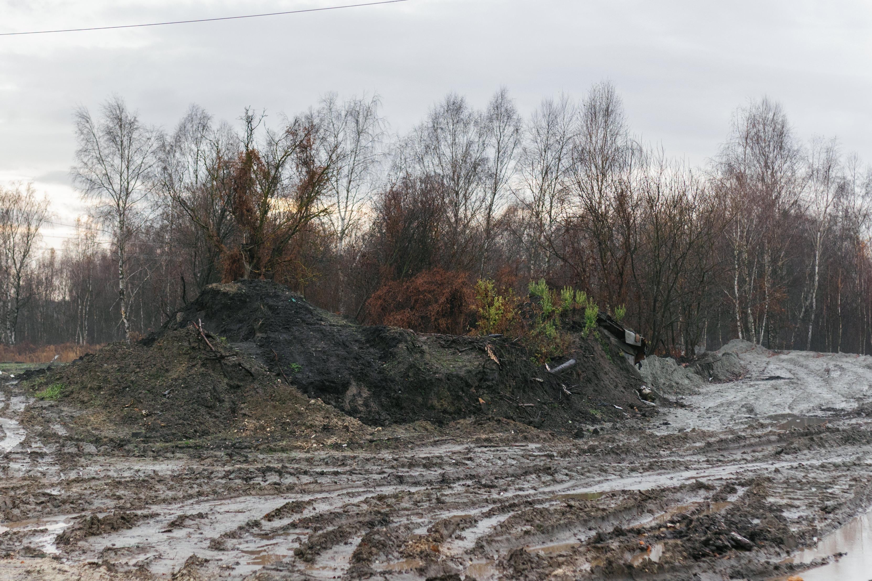 Територія, на якій планується забудова / фото Auroom