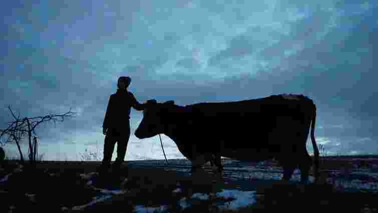 «Війна очима тварин»: 7 історій, 7 режисерів, Шон Пенн та Imagine Dragons