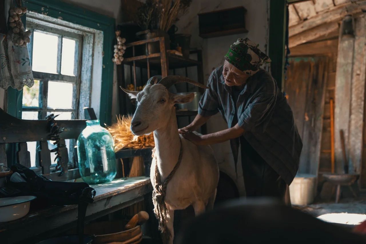 У новелі «Торпеда» зіграла блогерка зі Львова Ольга Мартинишин