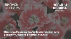 У Львові висадять 170 тис. тюльпанів від нідерландських підприємців