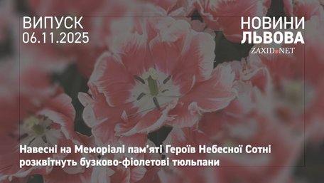 У Львові висадять 170 тис. тюльпанів від нідерландських підприємців