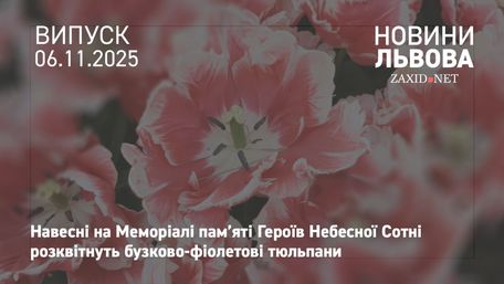 У Львові висадять 170 тис. тюльпанів від нідерландських підприємців