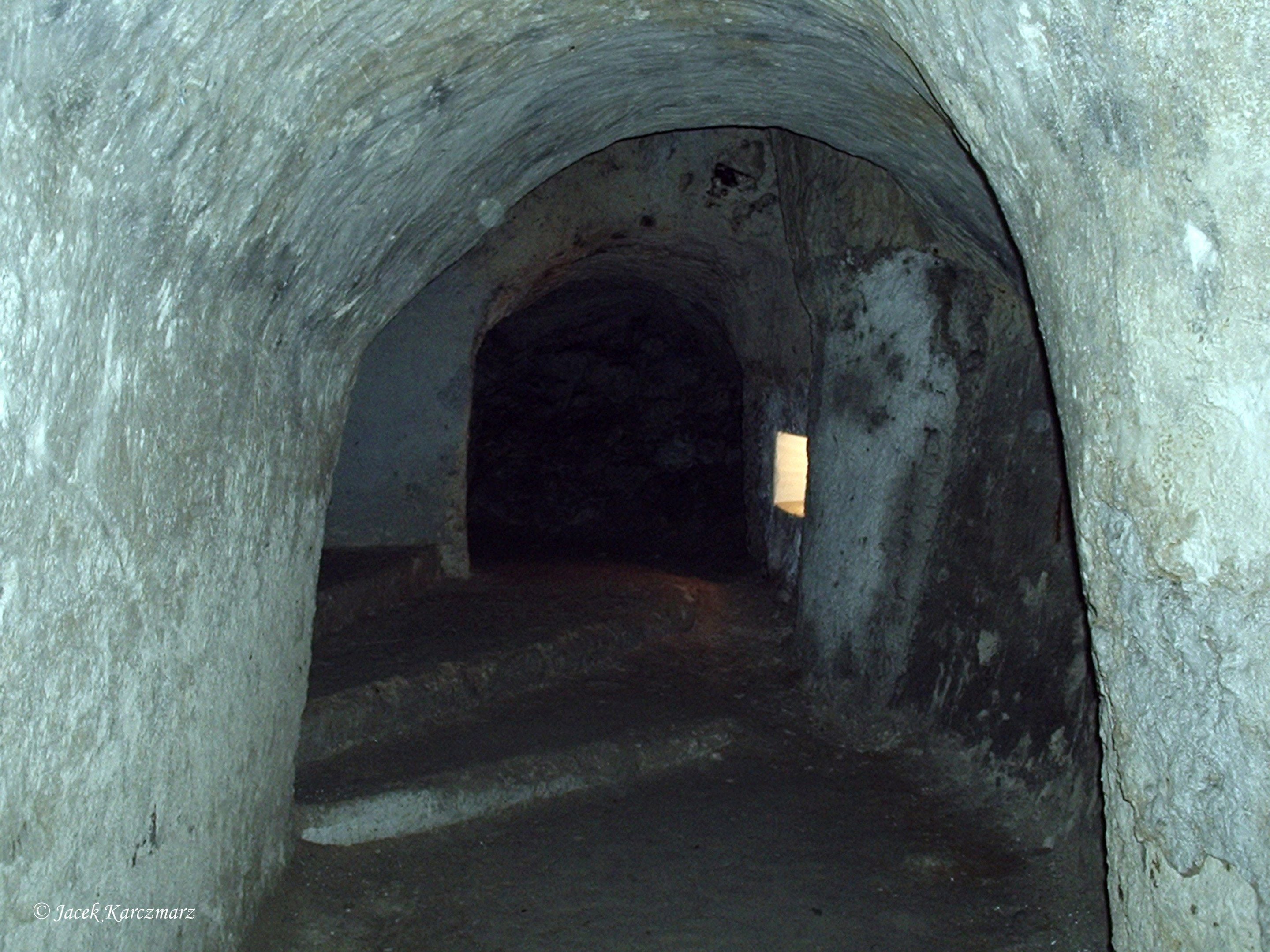 Підземелля крейдових копалень у Холмі, з яких черпали будівельний матеріал з XIII ст. (фото Яцка Качмара з Вікіпедії)