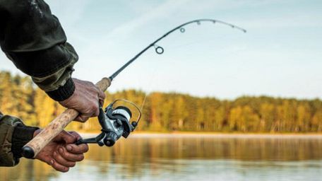 Від ускладнень лептоспірозу помер 69-річний мешканець Львівщини