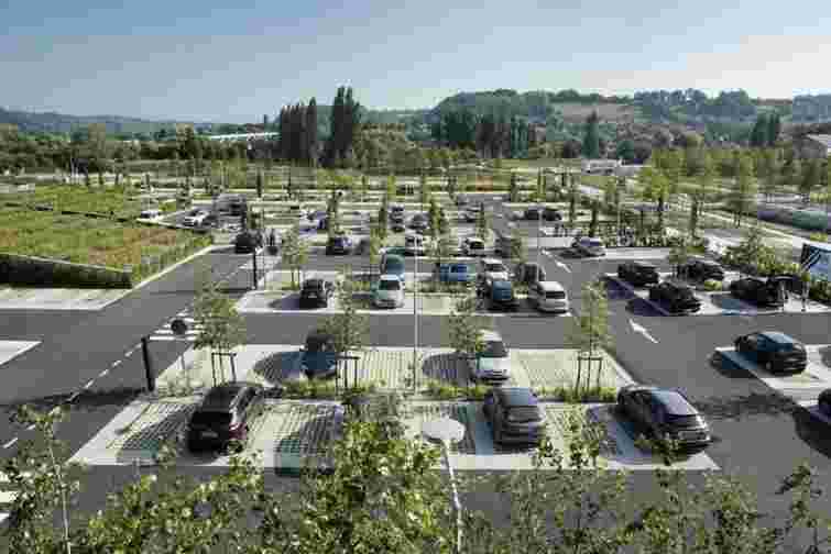 У Львові висаджуватимуть дерева на паркінгах