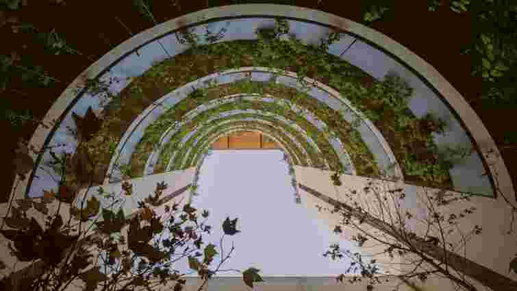 Багатоповерхівка-сад: у серці Мехіко відкрили незвичний деревʼяний ЖК