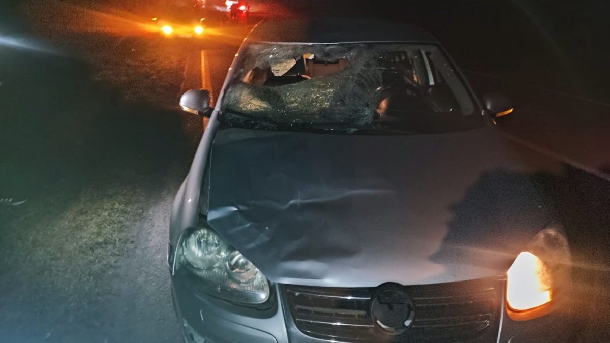 На трасі Львів-Шегині внаслідок наїзду авто загинув пішохід