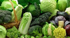 Білокачанна, пекінська чи броколі: яка капуста найбільш корисна і поживна