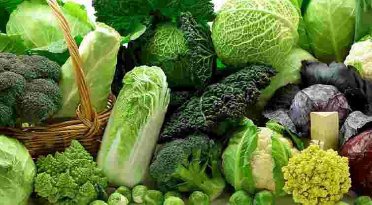 Білокачанна, пекінська чи броколі: яка капуста найбільш корисна і поживна