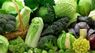 Білокачанна, пекінська чи броколі: яка капуста найбільш корисна і поживна
