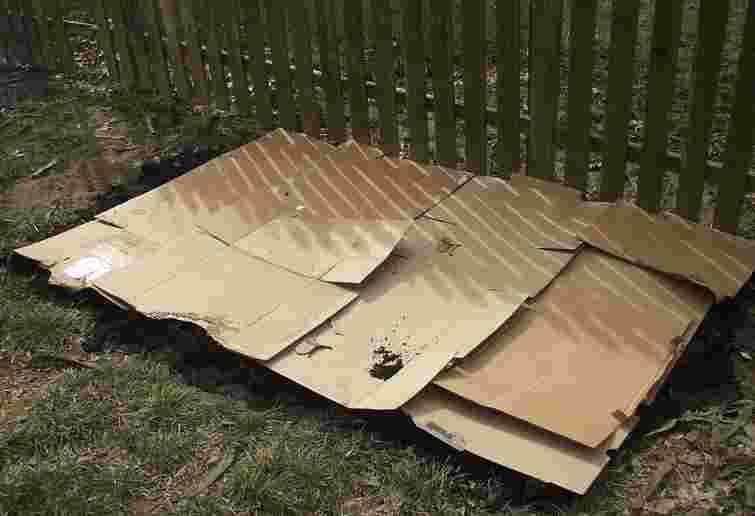 Як використовувати картон для садівництва: п'ять практичних способів