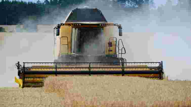 У Мінекономіки прогнозують збільшення врожаю зернових в Україні 