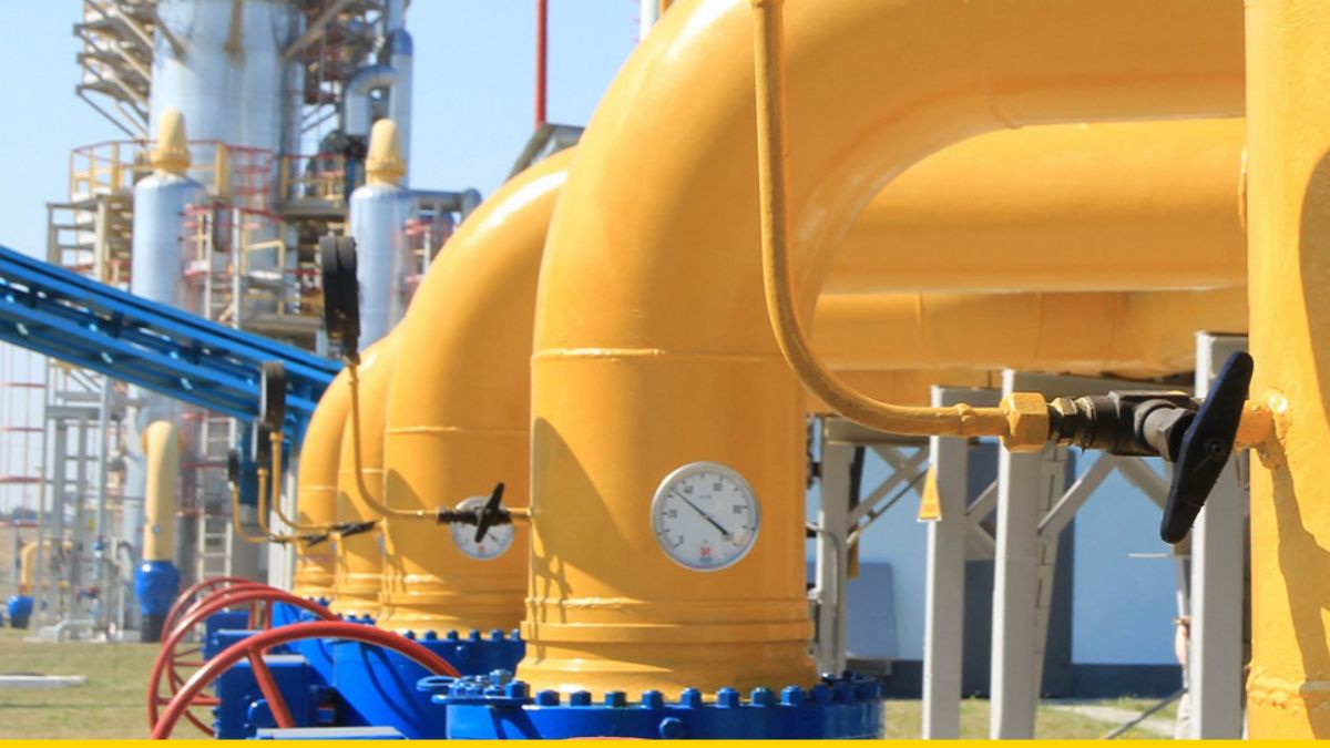 Доньки ексміністра Миколи Злочевського видобуватимуть газ на Івано-Франківщині