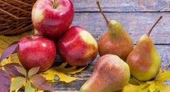 8 осінніх фруктів та овочів, які допомагають стабілізувати рівень цукру в крові