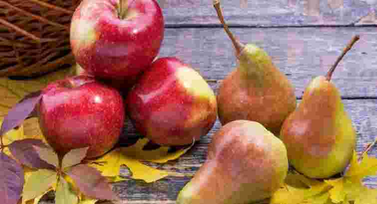 8 осінніх фруктів та овочів, які допомагають стабілізувати рівень цукру в крові
