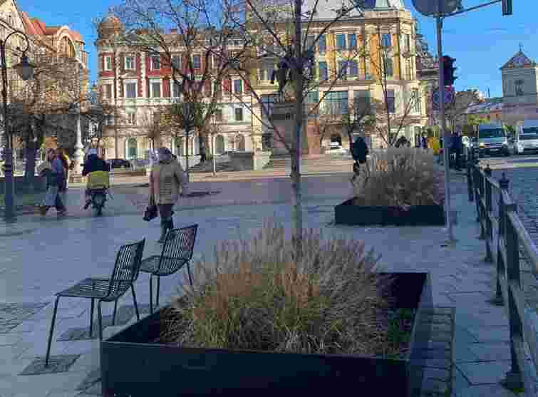 У Львові встановили огородження для захисту дерев від протиожеледних засобів