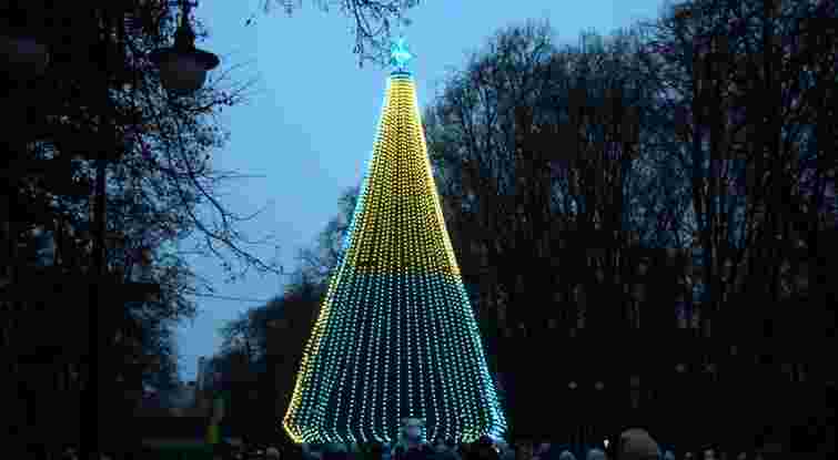 У Франківську почали встановлювати різдвяну ялинку