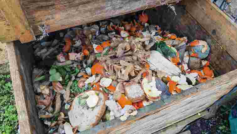 Його ще можна оживити: що робити, коли компост пересох і не розкладається