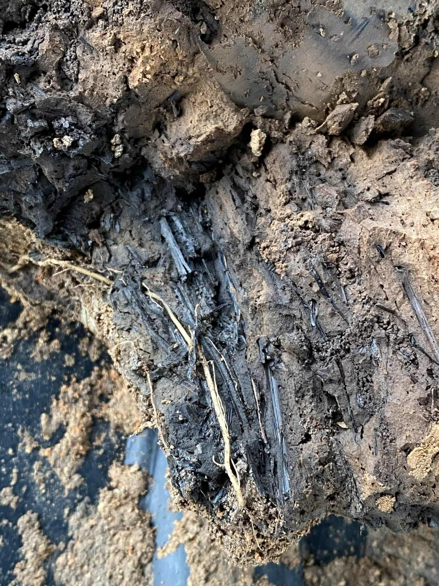 Відбитки стебел рослин у обпаленій глиняній вимазці