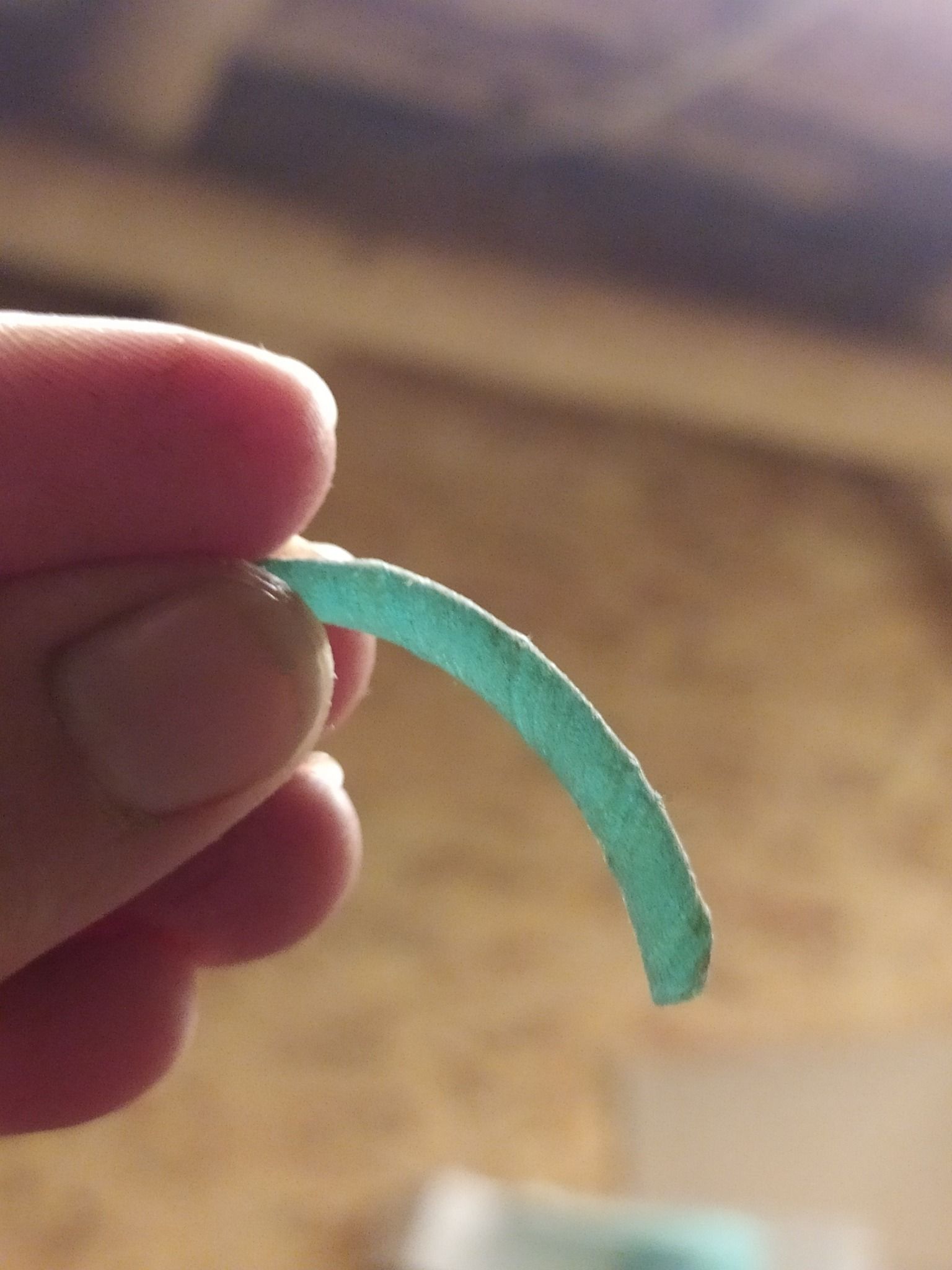 Археологи виявили оборонні фортифікації IX і X століть білих хорватів у Пліснеську