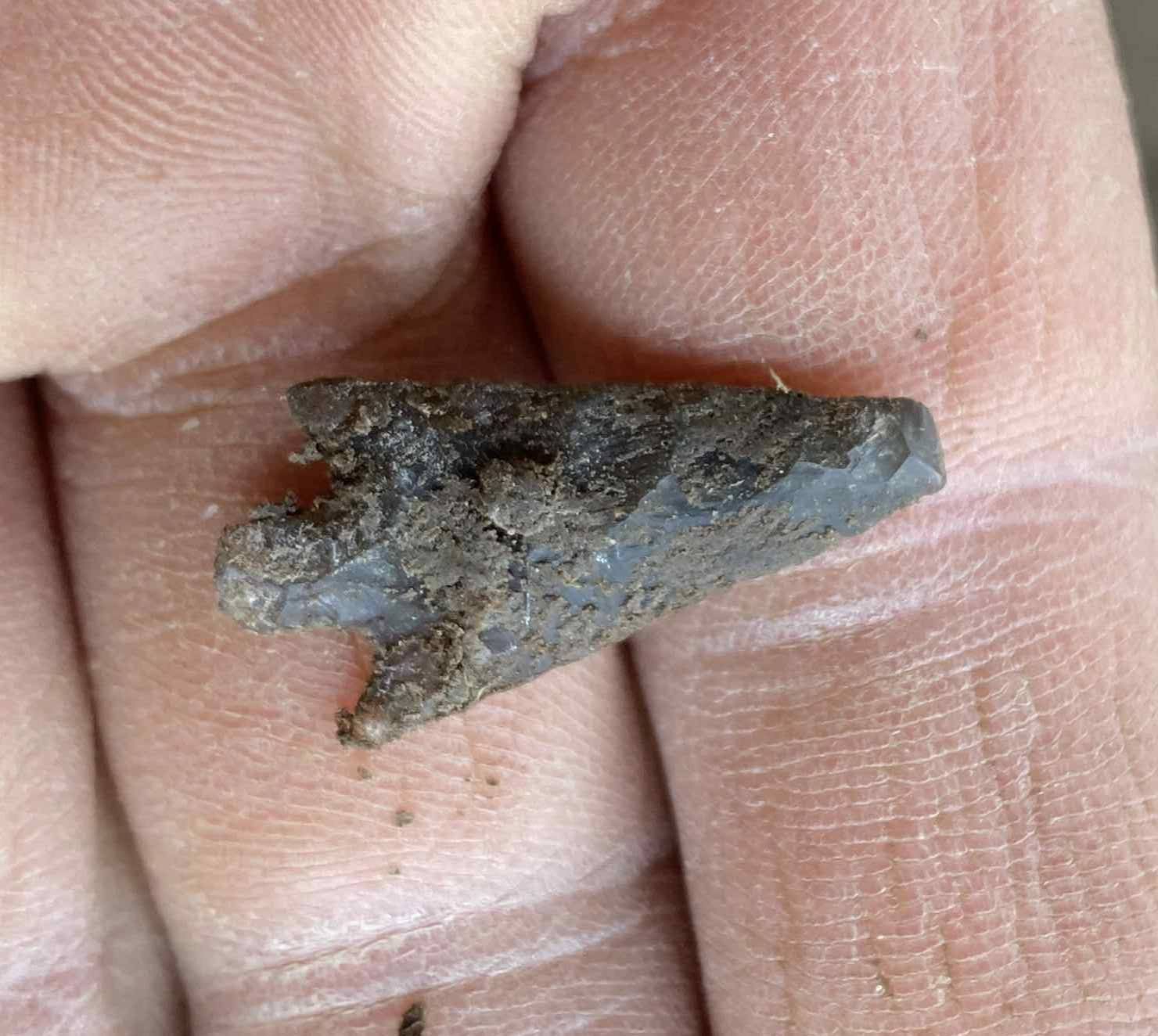 Археологи виявили оборонні фортифікації IX і X століть білих хорватів у Пліснеську