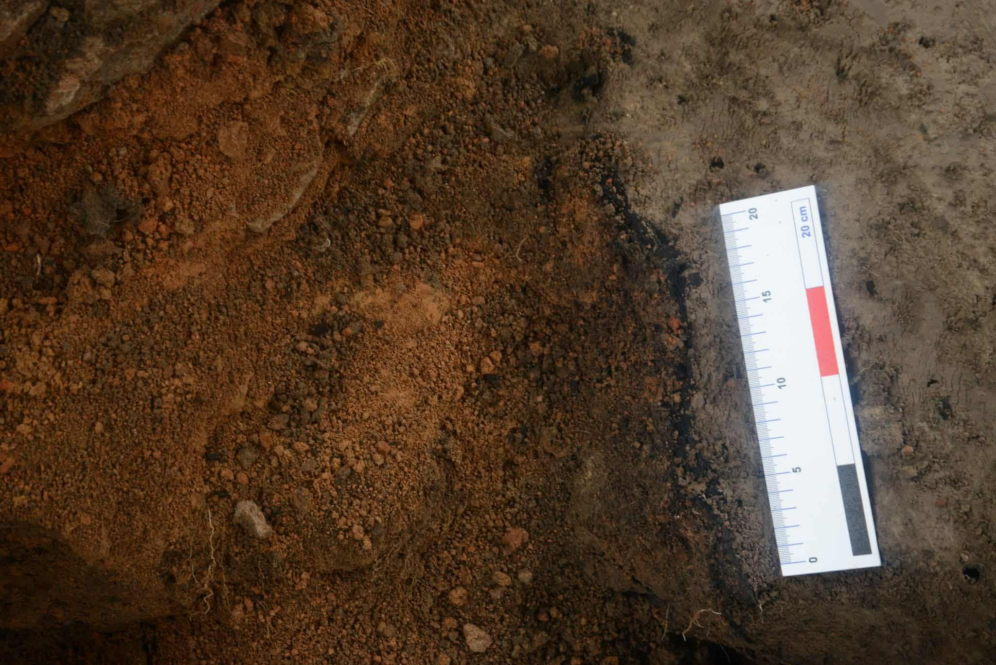 Обгоріла колота дошка