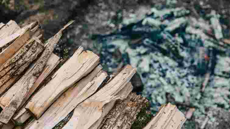 Ситуація не безнадійна: як змусити сирі дрова добре горіти