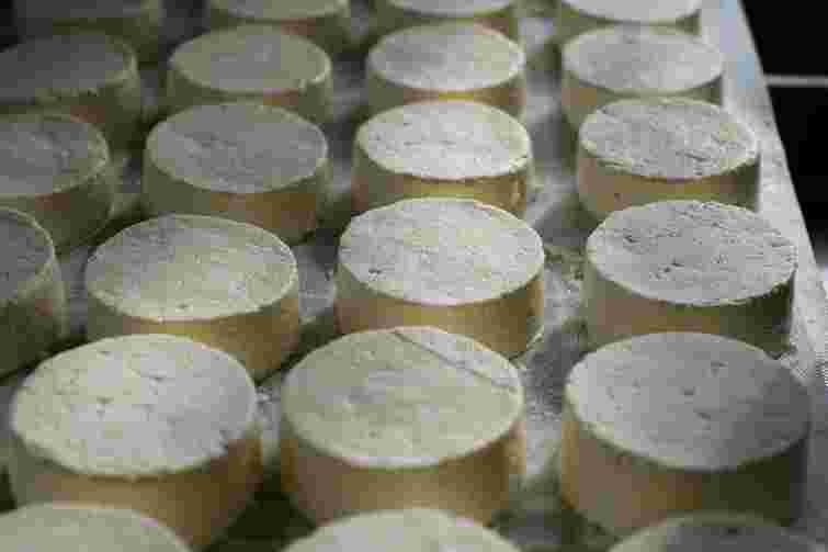 Українська молочна продукція дешевшає попри зростання попиту